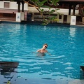 DSC 6703.Barali Beach Resort Pool Maddy