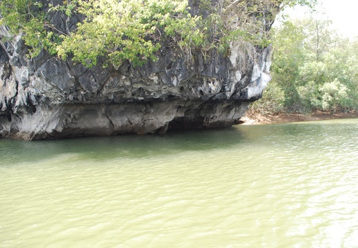 DSC 5699