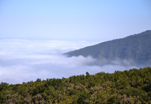 DSC 7475