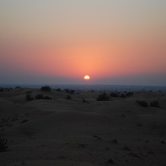 DSC 5928.Wüstensafari Sonnenuntergang