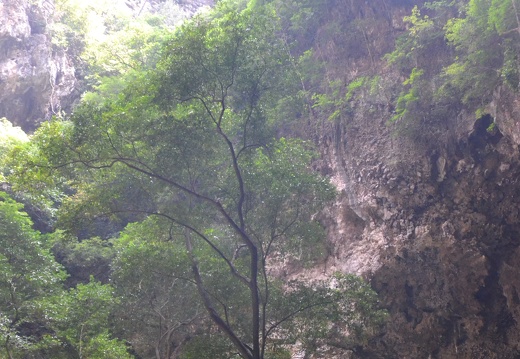 Prayanakhon Cave 010