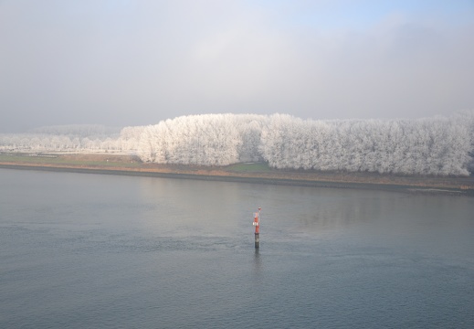 Aida Ausfahrt Rotterdam