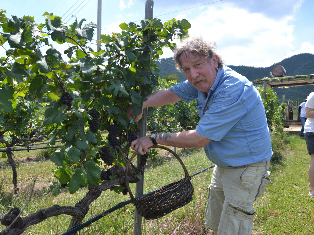 Weinanbau in Thailand