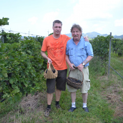 Weinanbau in Thailand