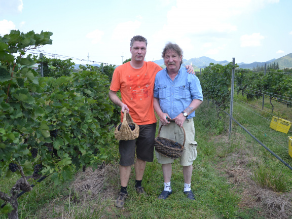 Weinanbau in Thailand