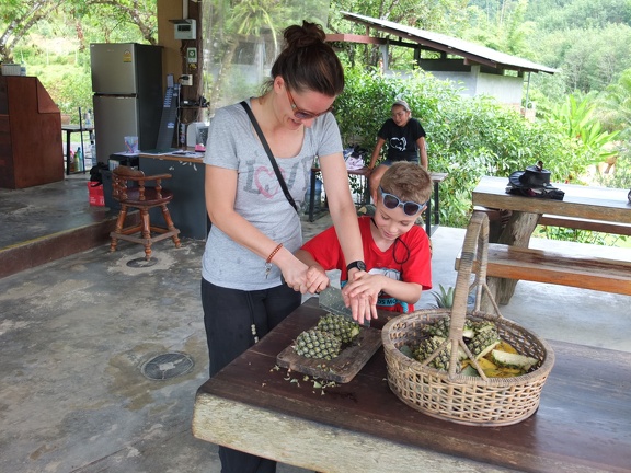 Khoa Sok Nationalpark Elefantencamp