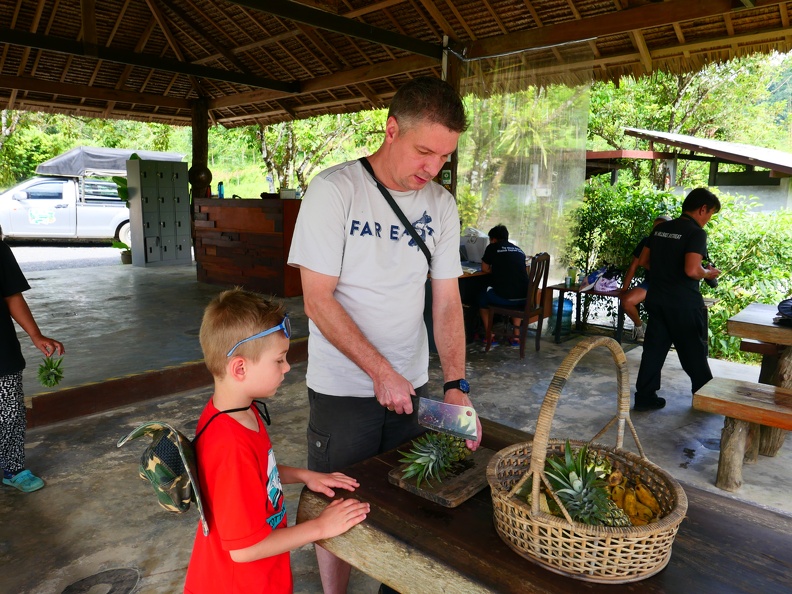 Khoa Sok Nationalpark Elefantencamp