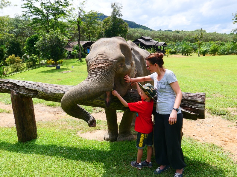 Khoa Sok Nationalpark Elefantencamp