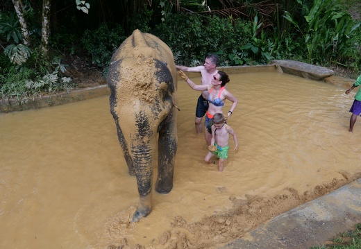 Khoa Sok Nationalpark Elefantencamp