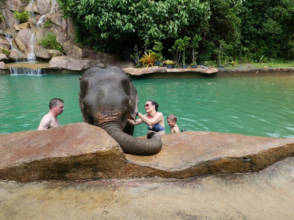 Khoa Sok Nationalpark Elefantencamp