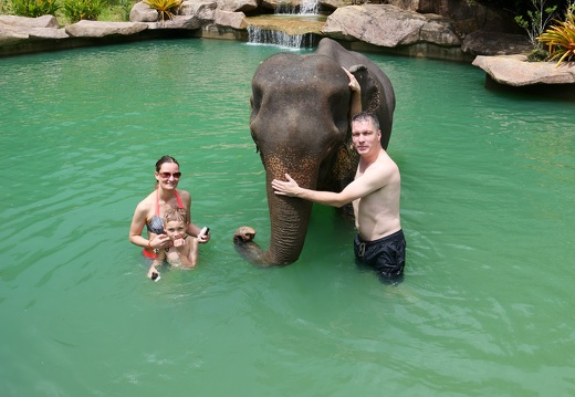 Khoa Sok Nationalpark Elefantencamp