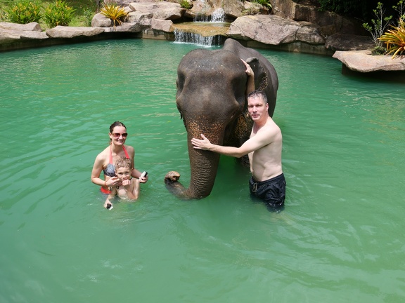 Khoa Sok Nationalpark Elefantencamp