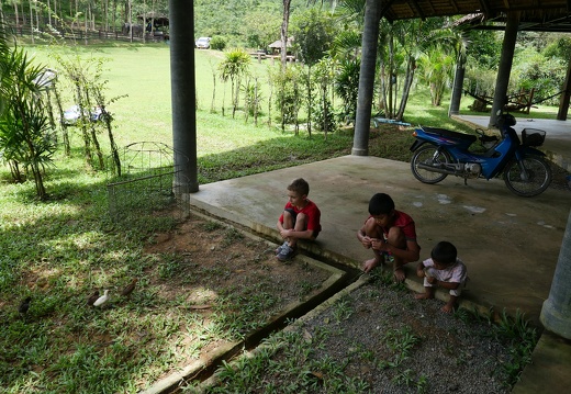 Khoa Sok Nationalpark Elefantencamp