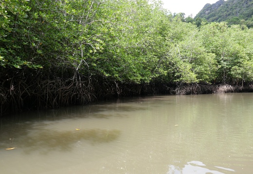 Unterwegs in Langkawi