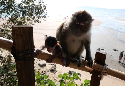 Ao Nang zum Tonsai Beach