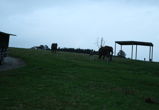 15 05 Plettenberg Lodge