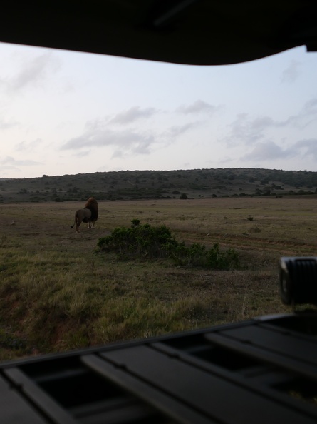 18_02_Addo.JPG